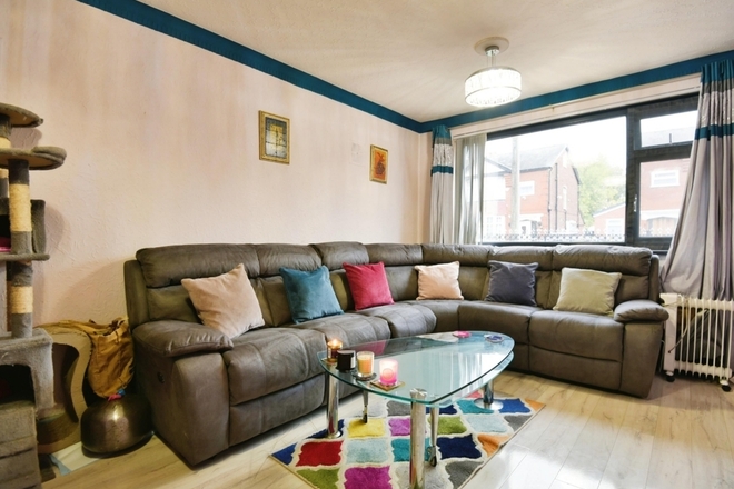 If you love cats, read on! - Female - Manchester