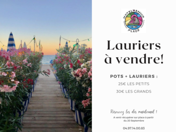 Vente: Lauriers