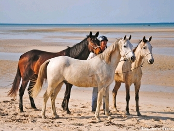 Cultural Immersion: Horseback Riding on the Beach | Nosy Be