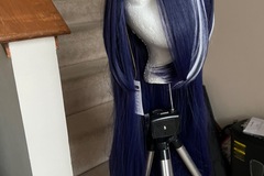 Selling with online payment: Honkai Star Rail Acheron Wig