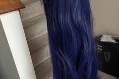 Selling with online payment: Honkai Star Rail Acheron Wig