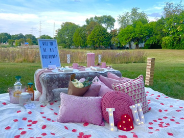 Offering with deposit : Small luxury picnics in Chicago 