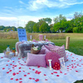 Offering with deposit : Small luxury picnics in Chicago 