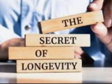 Wellness Session Single: Longevity Wellness:  1 Consult with David