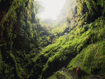 Wellness Session Packages: Longevity Wellness: 6 Month Program with David