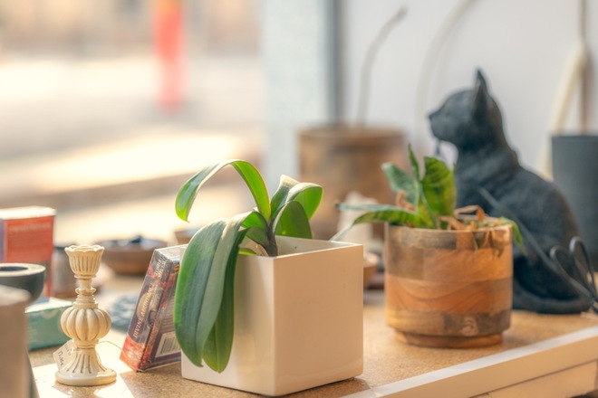 Theraputic and Wellness space
