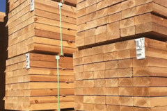À vendre: Gros stock de bois !! 