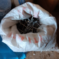 À vendre: Différents raccord de plomberie