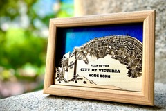  : City of Victoria Hong Kong Bird Eye View Map Laser Cut Wood