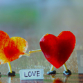 Selling: TRUE FEELINGS? CHANNELED
