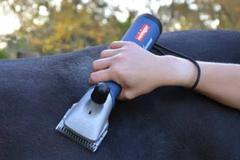 For Rent: Xplorer Cordless Clippers