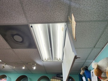 Offering Services: MNR Unwind Yarn & Gifts Lighting Replacement 10/16/24