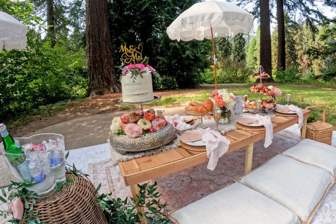 Luxury Picnics & Proposals