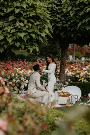 Luxury Picnics & Proposals