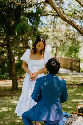Luxury Picnics & Proposals
