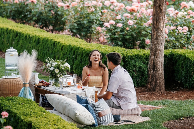 Luxury Picnics & Proposals
