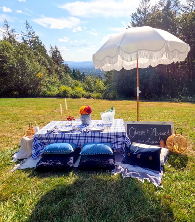 Luxury Picnics & Proposals