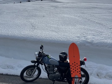 Vermieten und mieten/ Barzahlung: Yamaha SR 400