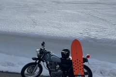 Vermieten und mieten/ Barzahlung: Yamaha SR 400
