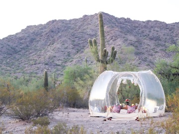 Offering with deposit : Under the Stars Picnic in Queen Creek, Arizona