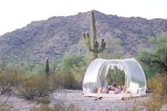 Offering with deposit : Under the Stars Picnic in Queen Creek, Arizona