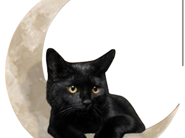 Selling: NEW MOON HALLOWEEN SPELL