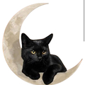 Selling: NEW MOON HALLOWEEN SPELL