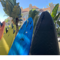 For Rent: Funboards