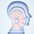 Offering Customised Packages: Organisational Review and Transformation