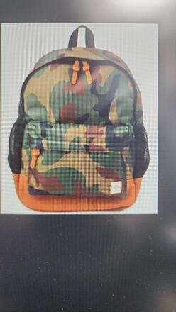 10 - Sun & Stone Backpacks - asst color