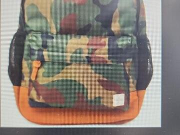 Bulk Lots: 10 - Sun & Stone Backpacks - asst color