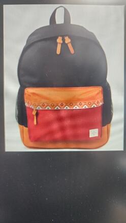 10 - Sun & Stone Backpacks - asst color