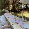 Offering with deposit : DIY Picnic Table Set For 10 People (Blush Pink)