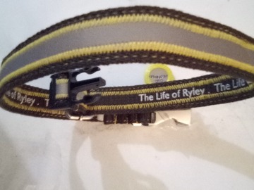 Bulk Lots: Reflective Dog Collars 