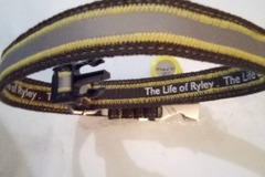 Bulk Lots: Reflective Dog Collars 