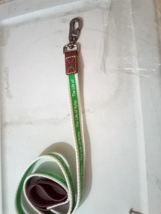 Dog Leashes by The Life of Ryley - Green