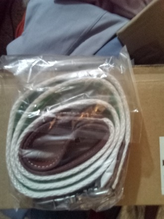 Dog Leashes by The Life of Ryley - Green