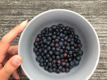 Wellness Session Single: An Introduction to Mindful Eating with Kayla 
