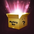 Bulk Lots: Mystery Box - Christmas decoration blind box