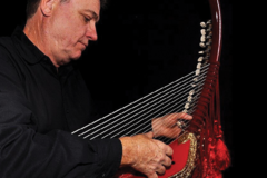Offering with online payment: Harp - Celtic and World