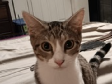   : Jasmine