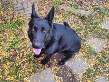   : Coco 