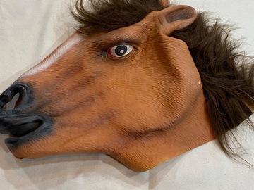 Selling with online payment: Horse mask
