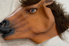 Selling with online payment: Horse mask