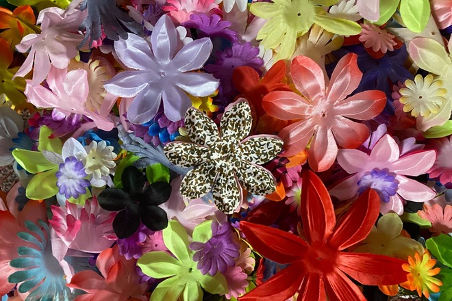 2500 Fabric Flower Petals-DIY Flowers for Hair Bows, Crafts, Etc.