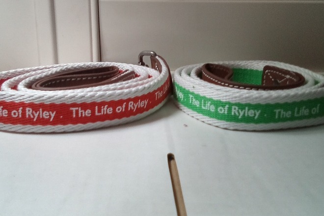 Dog leashes The Life of Ryley