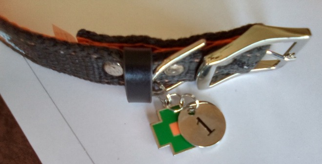 The Life of Ryley brand Dog Collars