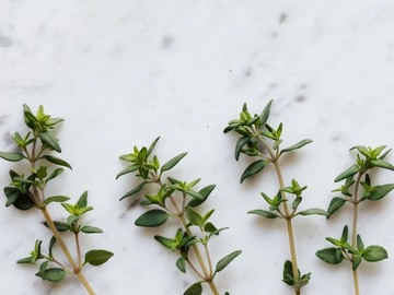 Wellness Session Single: NO-DIET approach, book a FOLLOW-UP session with dietitian ALONDRA