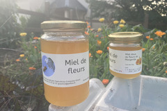 Les miels : Miel de fleurs