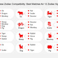Selling: Ancient Astrology Compatibility Reading